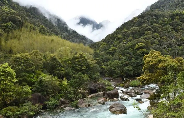 灌草丛.jpg 灌草丛.jpg