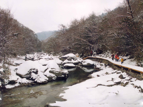 图片289.png 图片289.png