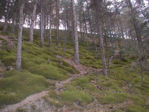 图片372.png 图片372.png