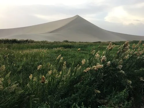 沙漠绿洲1.jpg