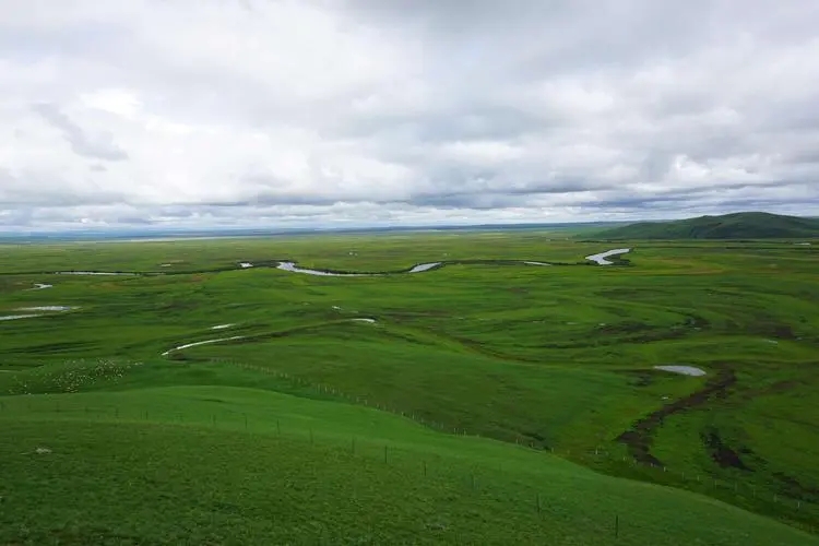 绿洲1.jpg 绿洲1.jpg