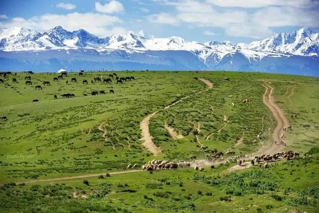 绿洲3.jpg 绿洲3.jpg