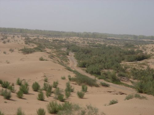 图片31.png 图片31.png