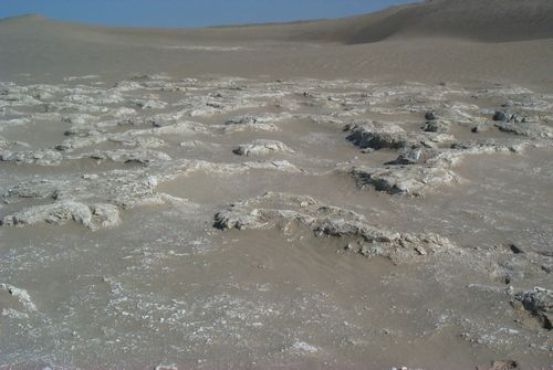 图片36.png 图片36.png