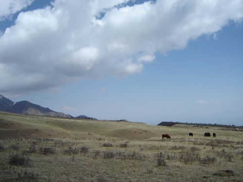 图片44.png 图片44.png