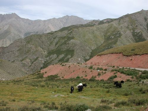 图片45.png 图片45.png