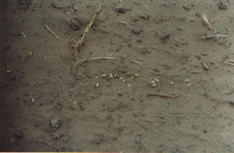 图片37.png 图片37.png