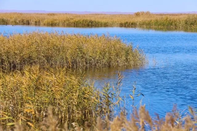 绿洲水资源-2.jpg 绿洲水资源-2.jpg