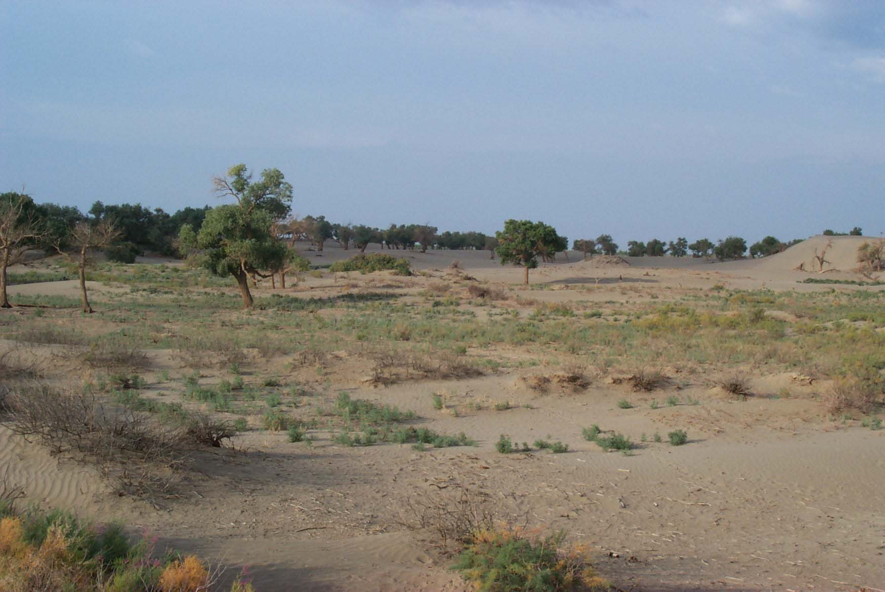 图片13.png 图片13.png