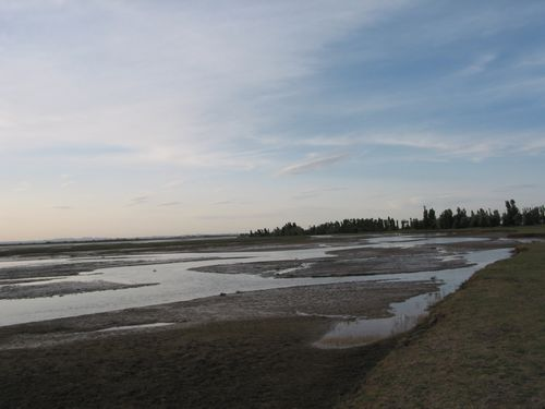 图片9.png 图片9.png