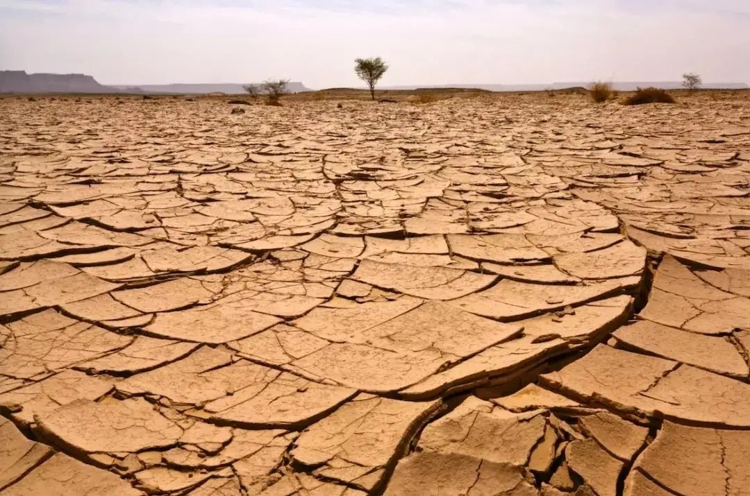 土地沙化-1.webp.jpg 土地沙化-1.webp.jpg