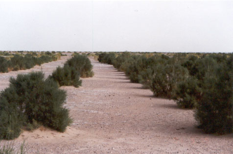 图片6.png 图片6.png