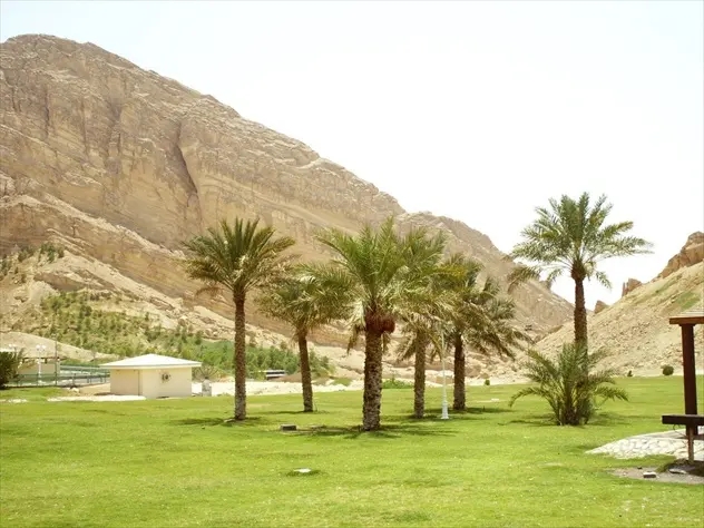 绿洲区-1.webp.jpg 绿洲区-1.webp.jpg