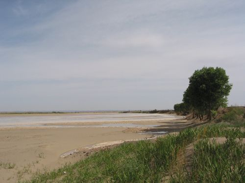 图片10.png 图片10.png