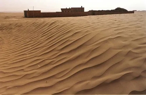 土地沙化-3.webp.jpg 土地沙化-3.webp.jpg