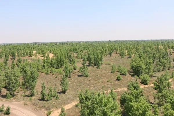 绿洲区-2.webp.jpg 绿洲区-2.webp.jpg