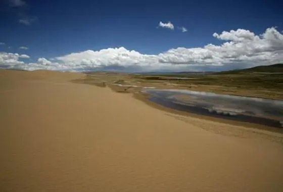 土地沙化-4.webp.jpg 土地沙化-4.webp.jpg