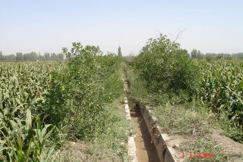 图片1.png 图片1.png