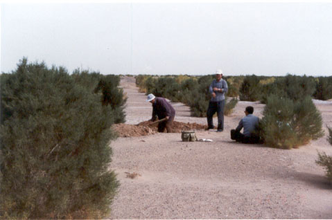 图片7.png 图片7.png