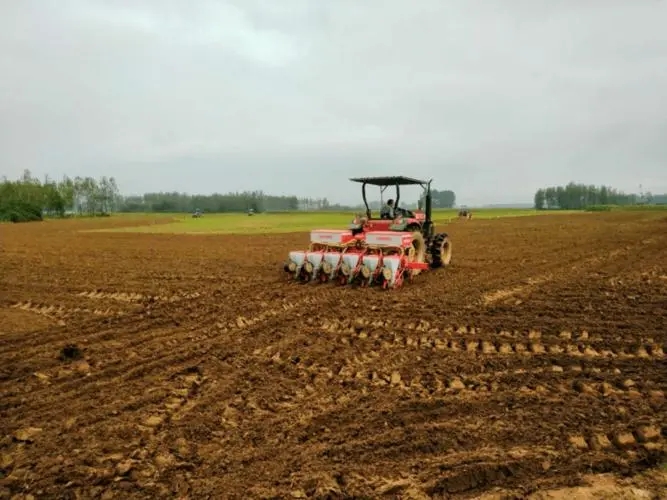 恢复中的农田.webp.jpg 恢复中的农田.webp.jpg