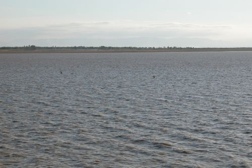 图片30.png 图片30.png