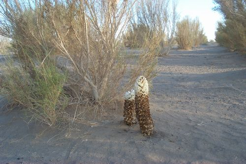 图片10.png 图片10.png