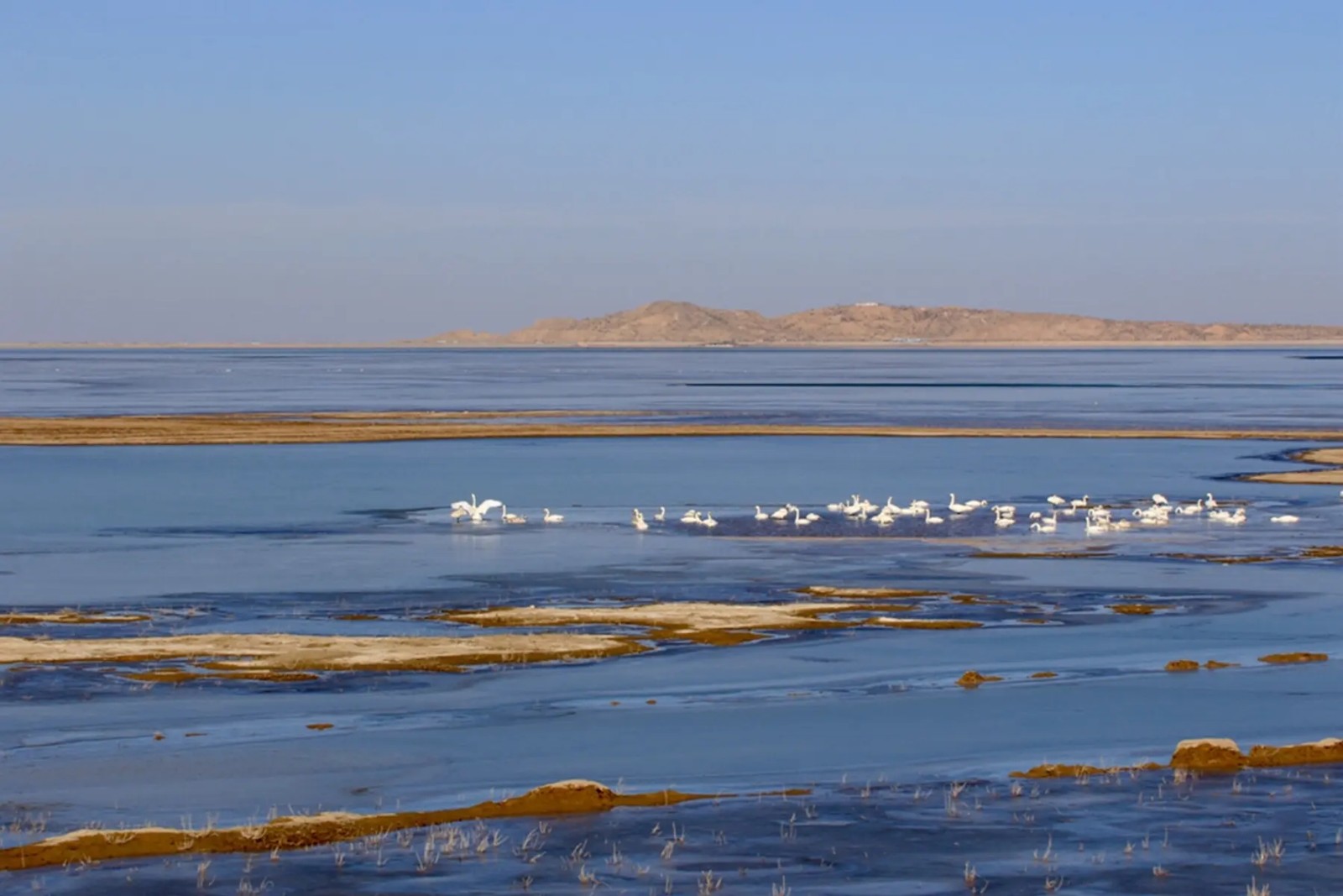 45.webp.jpg 45.webp.jpg