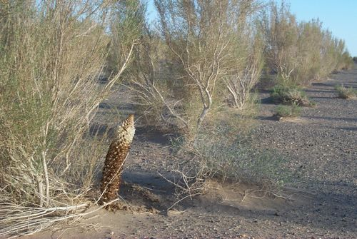 图片12.png 图片12.png