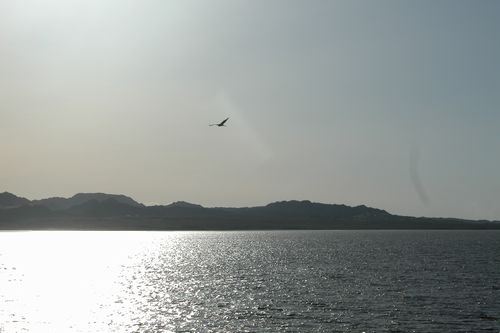 图片25.png 图片25.png