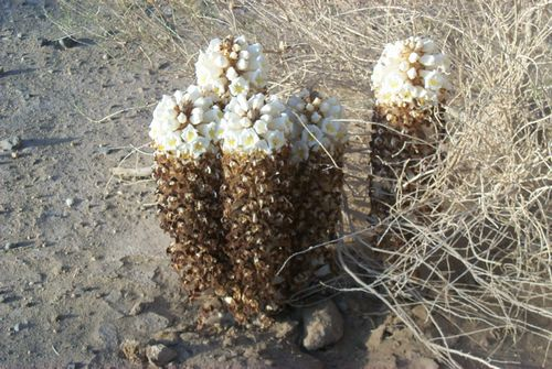 图片9.png 图片9.png