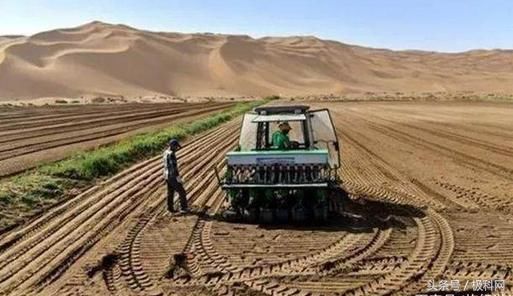 水稻3.jpg 水稻3.jpg