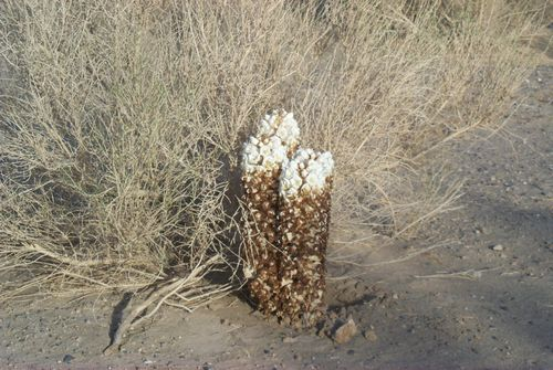 图片14.png 图片14.png