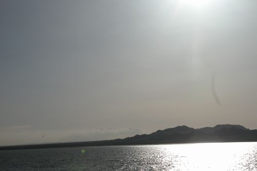 图片27.png 图片27.png