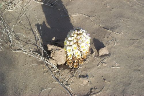 图片13.png 图片13.png