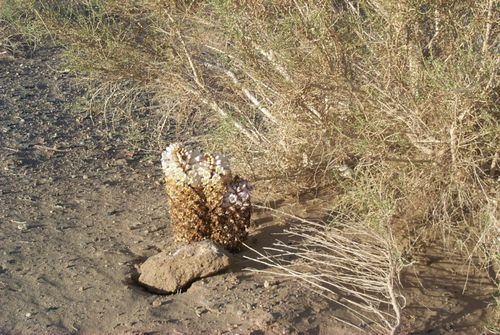 图片7.png 图片7.png