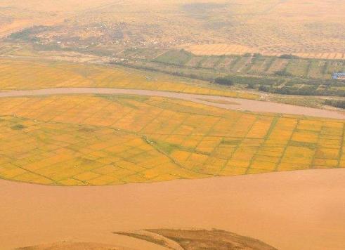 水稻2.jpg 水稻2.jpg